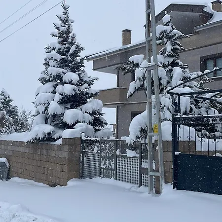 Efes Villa *
